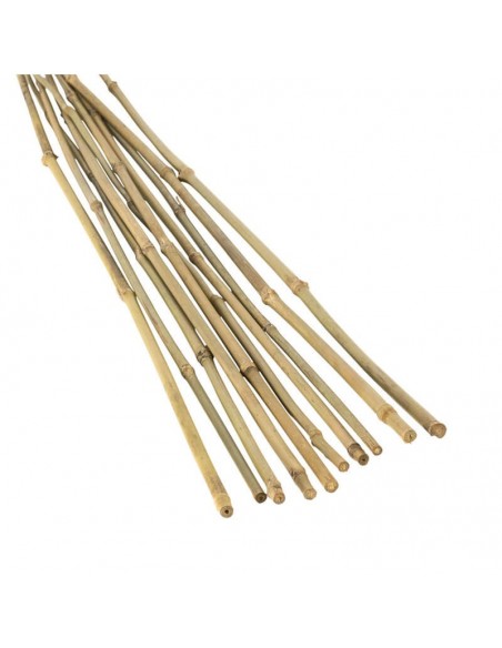 Bețe din Bambus L 40 cm  - 500 cm, Ø 5 - 35 mm, 1000 buc Bețe din Bambus L 40 cm  - 500 cm, Ø 5 - 35 mm, 1000 buc