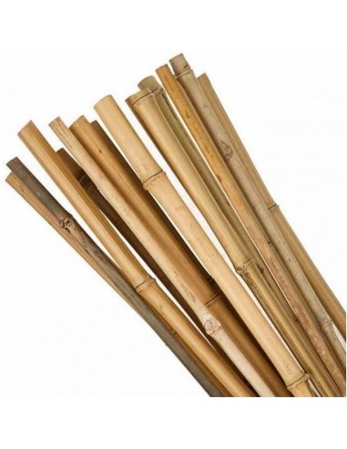 Bețe din Bambus L 40 cm  - 500 cm, Ø 5 - 35 mm, 1000 buc