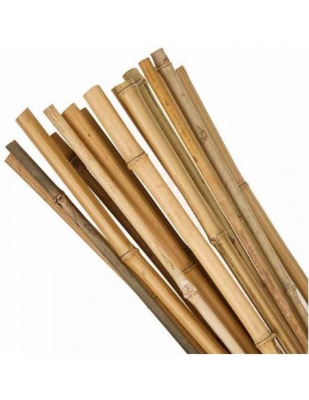 Bețe din Bambus L 40 cm  - 500 cm, Ø 5 - 35 mm, 1000 buc Bețe din Bambus L 40 cm  - 500 cm, Ø 5 - 35 mm, 1000 buc